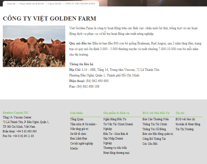 Bamboo Capital vẫn giới thiệu Viet Golden Farm là một công ty hoạt động trong lĩnh vực chăn nuôi (Nguồn: bamboocap.com.vn) Bamboo Capital vẫn giới thiệu Viet Golden Farm là một công ty hoạt động trong lĩnh vực chăn nuôi (Nguồn: bamboocap.com.vn)