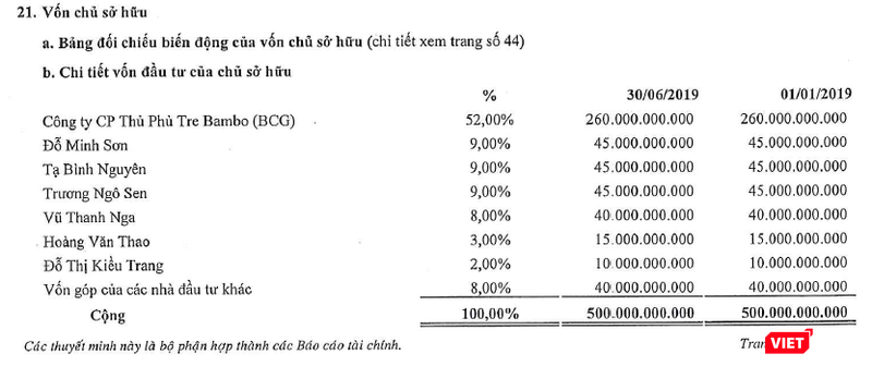 Cơ cấu sở hữu của CTCP Bảo hiểm Viễn Đông tính đến ngày 30/6/2019