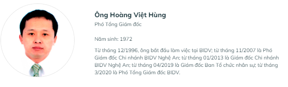 Phó TGĐ BIDV Hoàng Việt Hùng (Nguồn: BIDV) Phó TGĐ BIDV Hoàng Việt Hùng (Nguồn: BIDV)