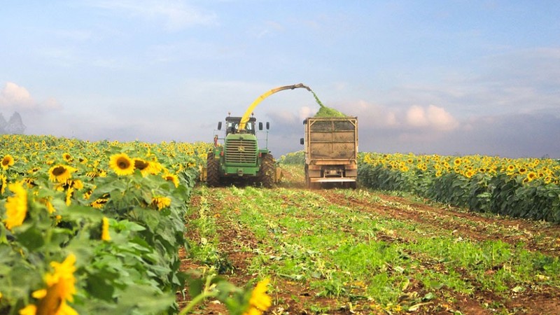 Tập đoàn TH kiên định với con đường phát triển những sản phẩm nông sản sạch, áp dụng công nghệ cao vào sản xuất