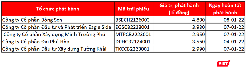 Nhóm doanh nghiệp huy động 18.200 tỉ đồng trái phiếu tuần đầu năm 2022