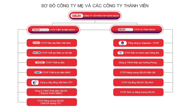 Các công ty thành viên của Gelex