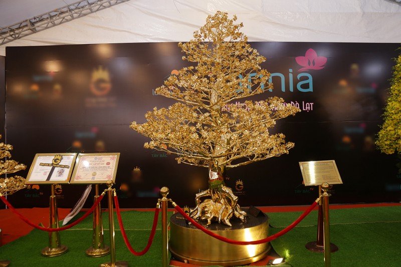 Cây mai đúc đồng mạ vàng 24K được giao bán với giá gần 6 tỷ đồng (Ảnh: Thanh Niên) Cây mai đúc đồng mạ vàng 24K được giao bán với giá gần 6 tỷ đồng (Ảnh: Thanh Niên)