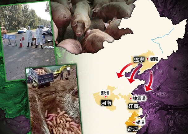 Dịch bệnh lợn châu Phi ở Trung Quốc đang có xu hướng lan xuống phía Nam Dịch bệnh lợn châu Phi ở Trung Quốc đang có xu hướng lan xuống phía Nam