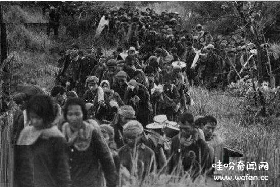 Người dân các thành phố Campuchia bị lùa về nông thôn lao động cấy lúa Người dân các thành phố Campuchia bị lùa về nông thôn lao động cấy lúa