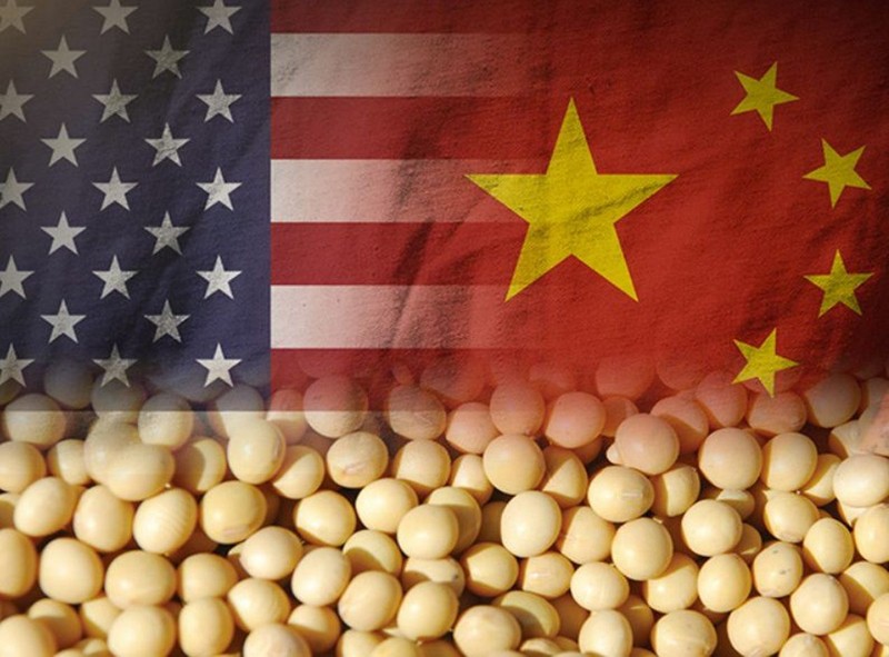 Mỹ hy vọng sau cuộc gặp gỡ Donald Trump - Tập Cận Bình, Trung Quốc sẽ nhanh chóng mua số lượng lớn đậu tương và nông sản Mỹ, nhưng Trung Quốc đã không làm như thế Mỹ hy vọng sau cuộc gặp gỡ Donald Trump - Tập Cận Bình, Trung Quốc sẽ nhanh chóng mua số lượng lớn đậu tương và nông sản Mỹ, nhưng Trung Quốc đã không làm như thế
