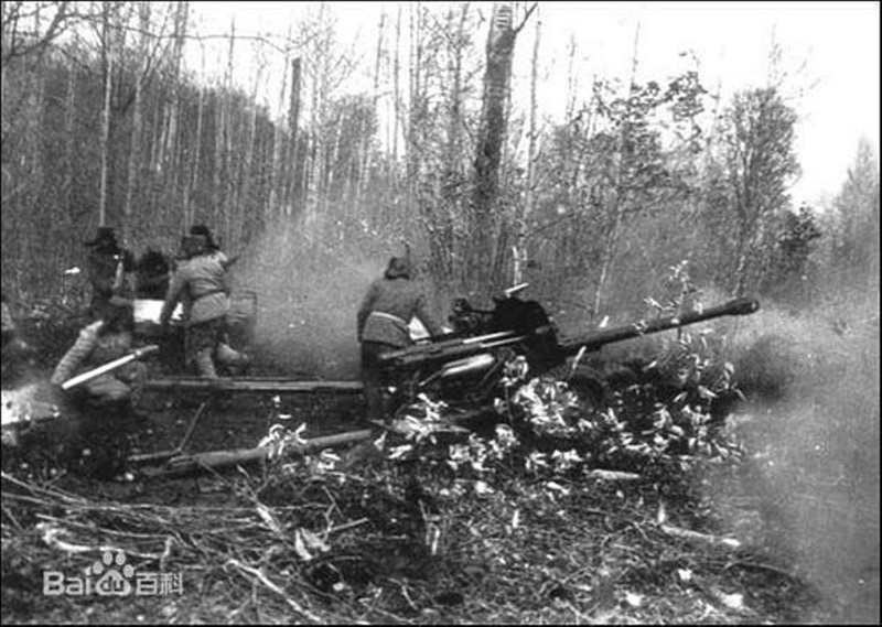 Pháo binh Trung Quốc trong vụ xung đột đẫm máu trên đảo Trân Bảo