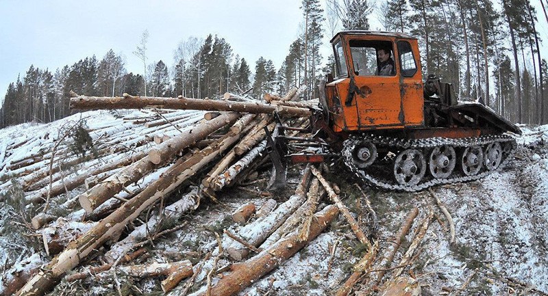 Nạn chặt phá rừng bừa bãi của thương nhân Trung Quốc đang trở thành vấn nạn ở Siberia và Viễn Đông Nạn chặt phá rừng bừa bãi của thương nhân Trung Quốc đang trở thành vấn nạn ở Siberia và Viễn Đông