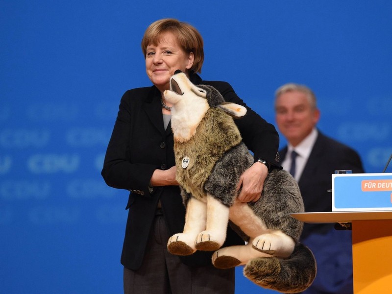 Ngày 14 tháng 12 năm 2015, Thủ tướng Đức Angela Merkel đã tham dự cuộc họp của Đảng Dân chủ Thiên chúa giáo ở Karlsruhe, Đức. Tại đây, bà Merkel đã nhận được món quà là một con chó đồ chơi. Ngày 14 tháng 12 năm 2015, Thủ tướng Đức Angela Merkel đã tham dự cuộc họp của Đảng Dân chủ Thiên chúa giáo ở Karlsruhe, Đức. Tại đây, bà Merkel đã nhận được món quà là một con chó đồ chơi.