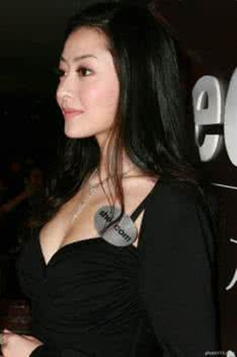 Cô người tình Dương Mai của Trần Hy Đồng