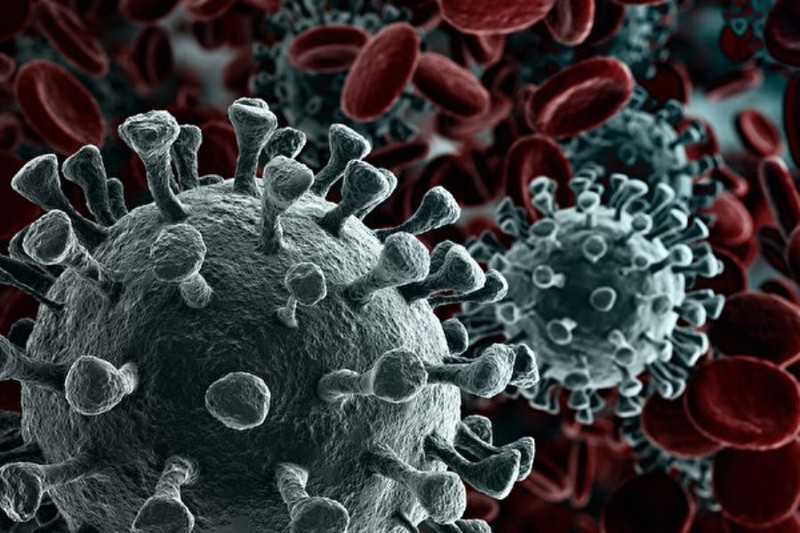 Virus Corona chủng mới (SARS-CoV-2) ngày càng lây lan mạnh trên thế giới (Ảnh: Đa Chiều). Virus Corona chủng mới (SARS-CoV-2) ngày càng lây lan mạnh trên thế giới (Ảnh: Đa Chiều).