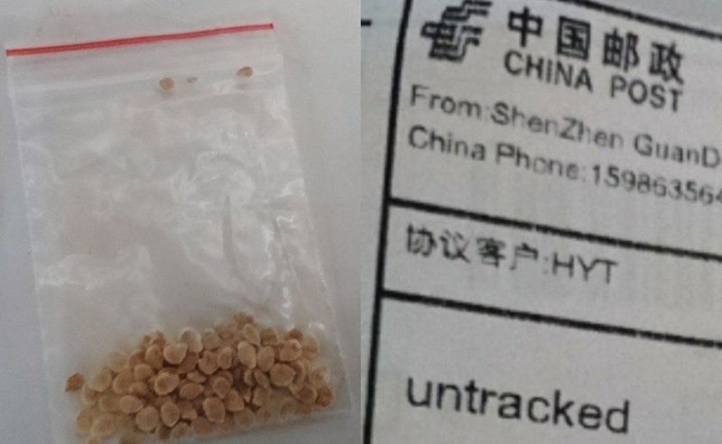 Địa chỉ nơi gửi các túi hạt giống tới Nhật đều ghi rõ: thành phố Thâm Quyến, tỉnh Quảng Đông, Trung Quốc (Ảnh: Hket) Địa chỉ nơi gửi các túi hạt giống tới Nhật đều ghi rõ: thành phố Thâm Quyến, tỉnh Quảng Đông, Trung Quốc (Ảnh: Hket)