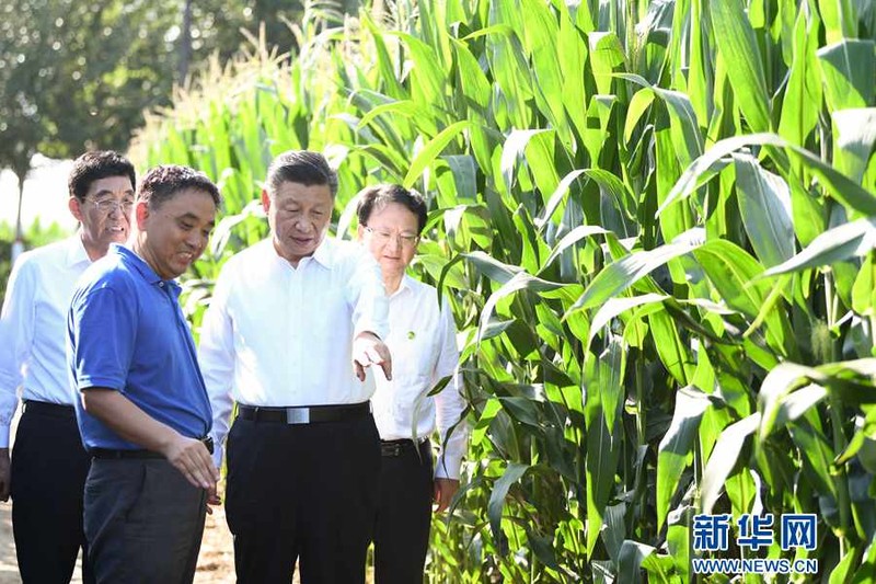 Ngày 22/7 vừa qua, ông Tập Cận Bình đã khảo sát tình hình nông nghiệp ở Cát Lâm và chỉ đạo về đảm bảo an ninh lương thực (Ảnh: Tân Hoa xã) Ngày 22/7 vừa qua, ông Tập Cận Bình đã khảo sát tình hình nông nghiệp ở Cát Lâm và chỉ đạo về đảm bảo an ninh lương thực (Ảnh: Tân Hoa xã)