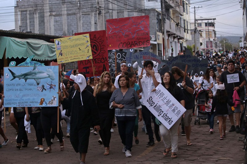 Người dân Ecuador biểu tình phản đối tàu Trung Quốc đánh bắt trái phép cá mập (Ảnh: AFP). Người dân Ecuador biểu tình phản đối tàu Trung Quốc đánh bắt trái phép cá mập (Ảnh: AFP).