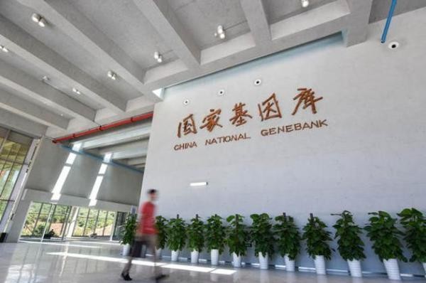 Ngân hàng gene Quốc gia Trung Quốc (Ảnh: Thepaper). Ngân hàng gene Quốc gia Trung Quốc (Ảnh: Thepaper).