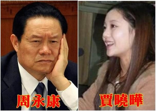 Chu Vĩnh Khang và vợ hai kém 28 tuổi, nguyên Biên tập viên CCTV Giả Hiểu Diệp (Ảnh: Dwnews).