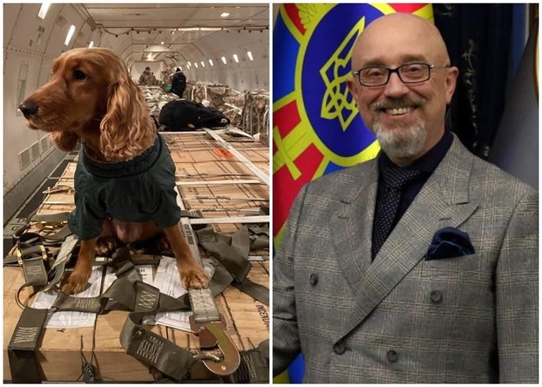 Bộ trưởng Quốc phòng Ukraine Oleksii Reznikov và hình ảnh ông chia sẻ trên Twitter vũ khí Mỹ viện trợ được máy bay chở tới Ukraine (Ảnh: Đông Phương)