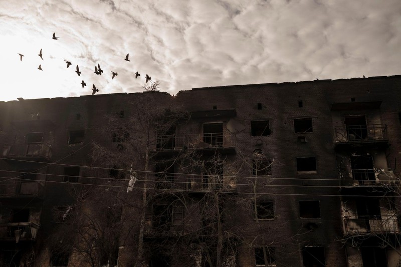 Đàn chim bay trên một khu chung cư bị hư hại vì đạn pháo (Ảnh: AP).