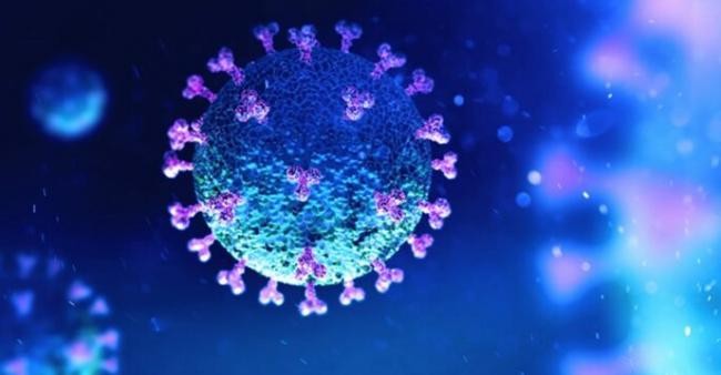 Chính quyền Trung Quốc nói các biến chủng XBB và BQ.1 của SARS-CoV-2 đã xuất hiện tại Thượng Hải nhưng chưa lây lan ra ngoài xã hội (Ảnh: Guancha). Chính quyền Trung Quốc nói các biến chủng XBB và BQ.1 của SARS-CoV-2 đã xuất hiện tại Thượng Hải nhưng chưa lây lan ra ngoài xã hội (Ảnh: Guancha).