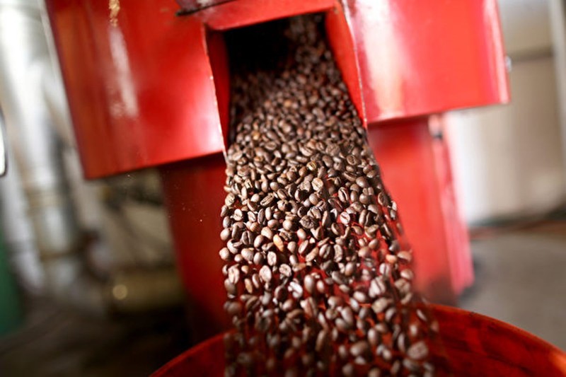 Giá cà phê hạt Robusta hiện ở mức cao nhất kể từ năm 2008 (Ảnh: Getty)