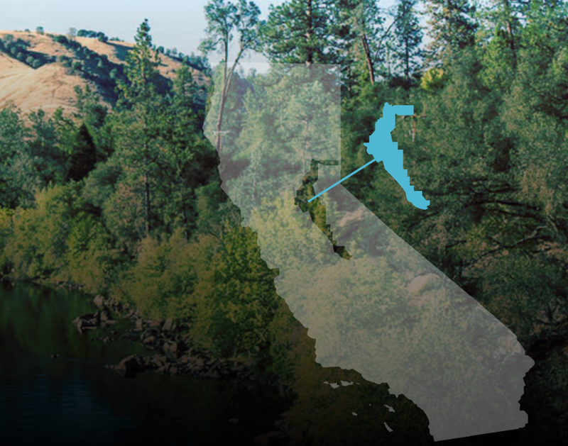 Công viên Marshall Gold Discovery ở Coloma, California nhân cơ hội cơn sốt tổ chức hoạt động bán vé cho trẻ em chơi đãi vàng. Ảnh: WSJ. Cong vien Marshall.png
