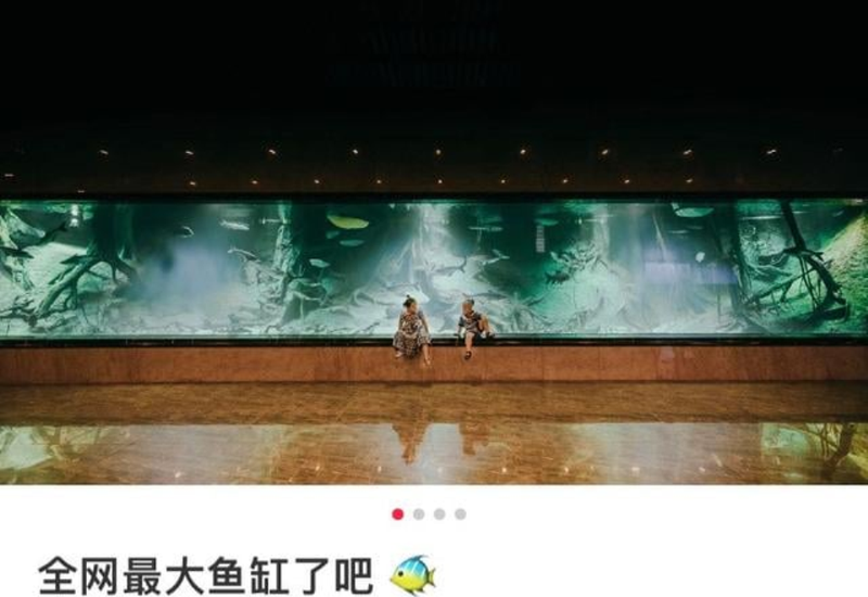 Khoe ảnh chụp cùng con trai bên cạnh bể cá cảnh siêu lớn, nuôi cá mập. Ảnh: Sina. Khoe be ca canh.png