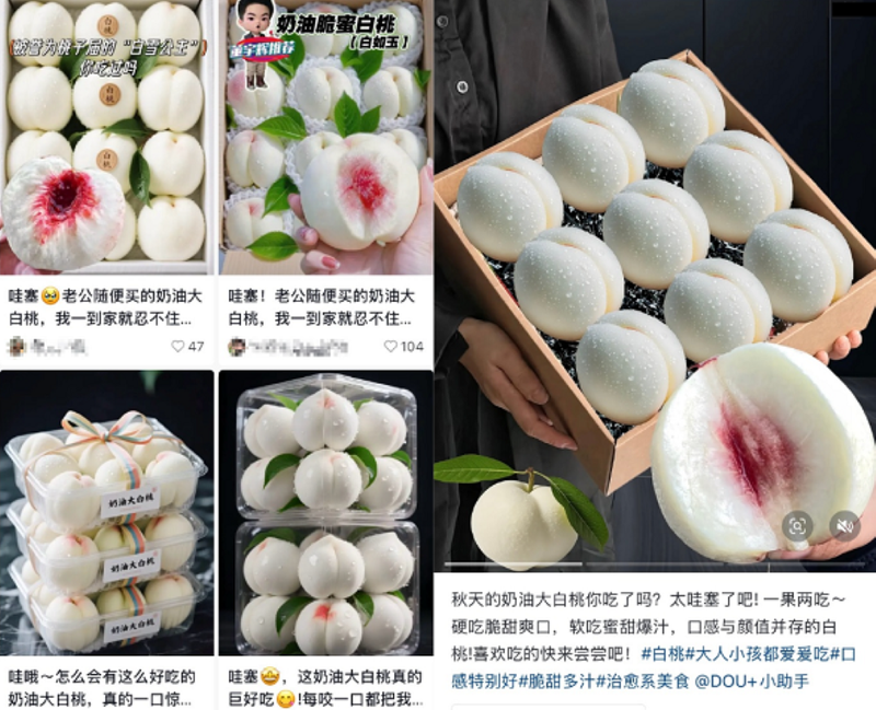 Anh AI quang cao dao.png