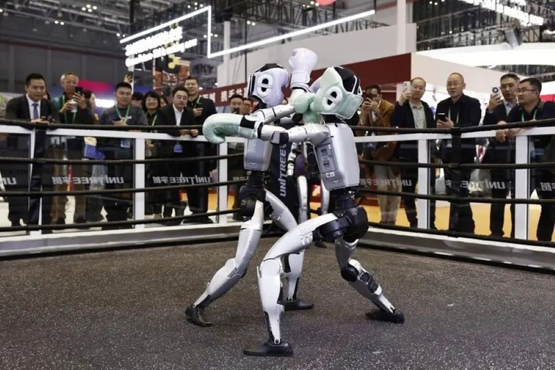Robot dau vo.jpg