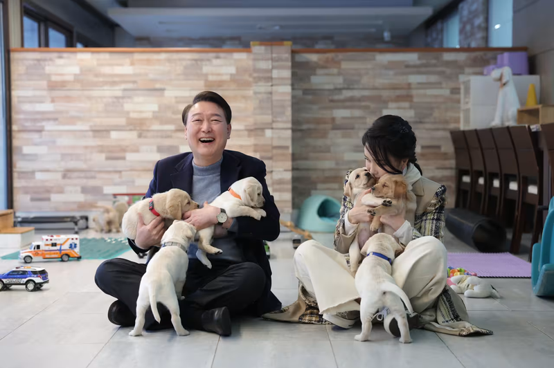 Dù đã ở bên nhau suốt một thập kỷ nhưng hai vợ chồng Tổng thống Hàn Quốc Yoon Suk Yeol lại không có con chung. Thay vào đó họ sống hạnh phúc với 4 chú chó và 3 chú mèo (Ảnh: WSJ) 06202683fa10a4e509f4410018347be06aedb783.avif.png
