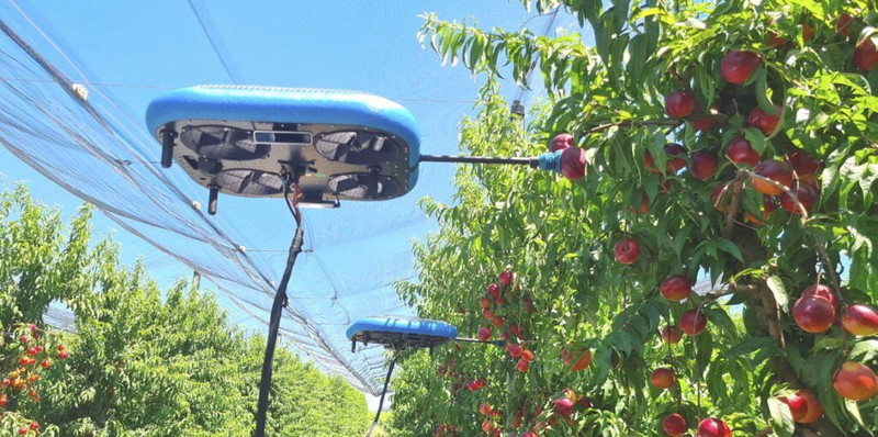 Robot bay tự động (FAR) hái trái cây duy nhất trên thế giới. Ảnh NoCamels Robot bay tự động (FAR) hái trái cây duy nhất trên thế giới. Ảnh NoCamels
