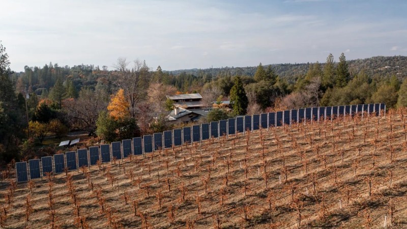 Các tấm pin mặt trời thẳng đứng được lắp đặt tại một nhà máy sản xuất rượu nho ở California. Mỹ.