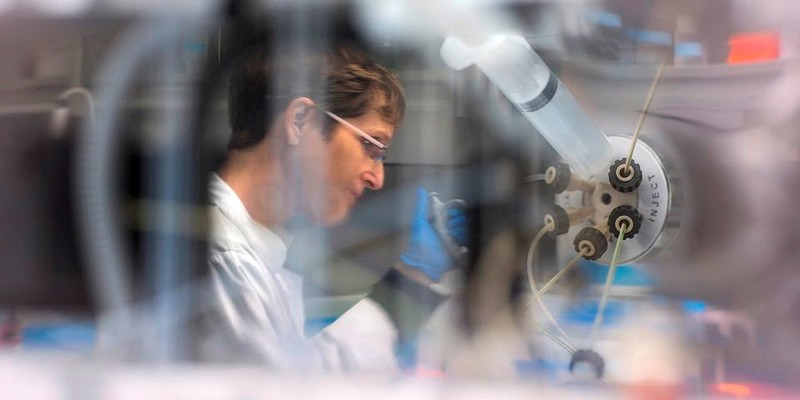 Các nhà nghiên cứu tại Miletius đang nghiên cứu các giải pháp thay thế kháng sinh không chỉ cho bò mà còn cho các vật nuôi khác và thậm chí cả con người. Ảnh NoCamels