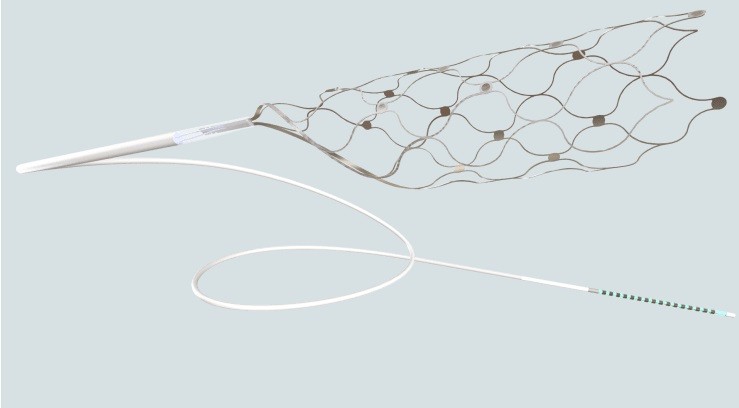 Dãy điện cực nội mạch Stentrode™. Ảnh Synchron