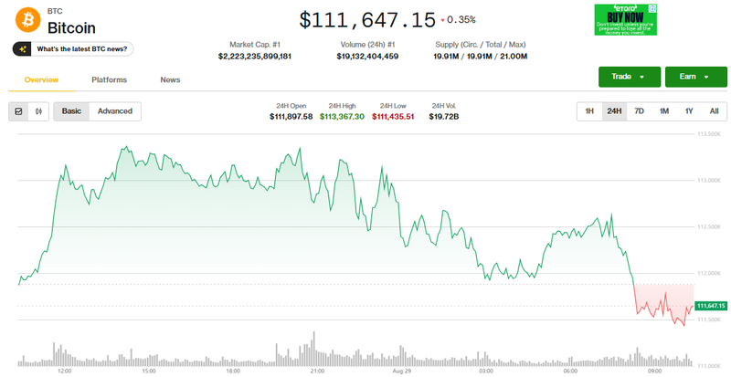 Giá Bitcoin giảm nhẹ. Ảnh: Coin Desk. Capture.PNG