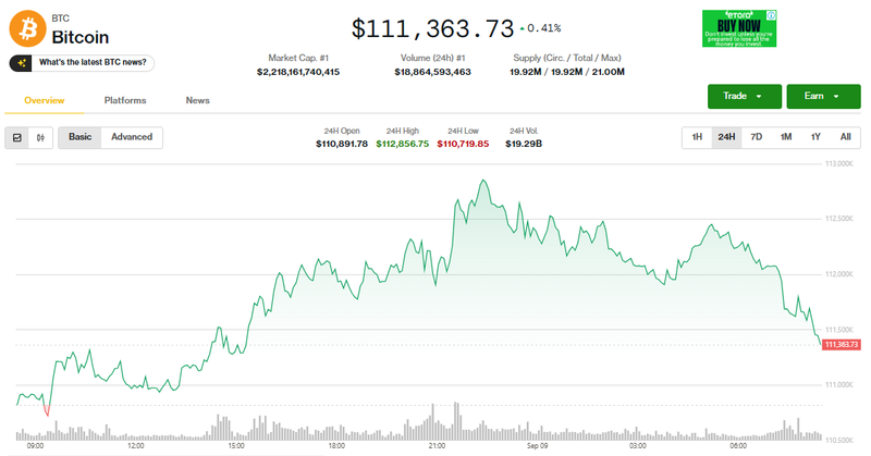 Giá Bitcoin phục hồi nhẹ. Ảnh: Coin Desk. Capture.PNG