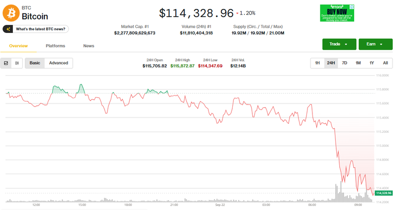 Giá Bitcoin điều chỉnh. Ảnh: Coin Desk. Capture.PNG
