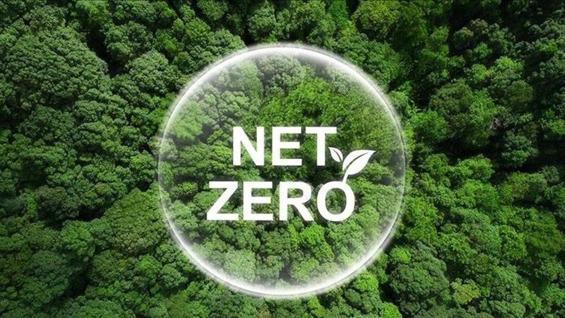 Cuộc đua của doanh nghiệp về xu hướng Net Zero