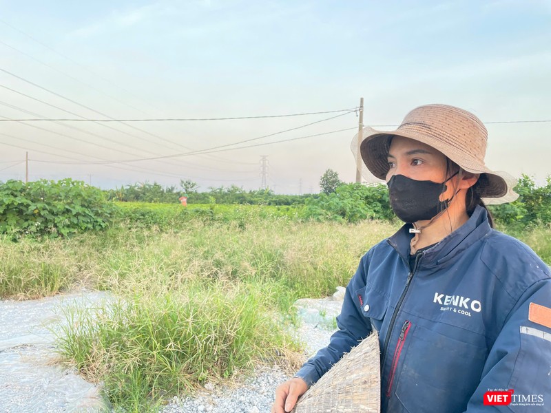 Chị N.T.T (xã Châu Ninh) cho hay gia đình có hơn 2 mẫu đất canh tác, chủ yếu trồng cây giống. “Một sào đất có thể ươm hàng vạn cây con, thu nhập trung bình 50 triệu đồng/năm. Với mức ấy, chỉ sau 2 năm là đã hoàn vốn. Nếu đền bù 115 triệu đồng/sào thì rõ ràng chưa sát thực tế”, chị nói. vt-hy10.jpg