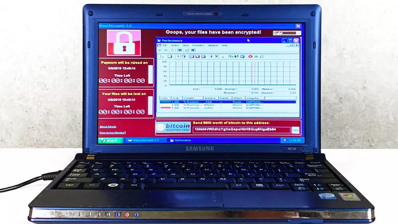 Chiếc máy tính xách tay (Samsung NC10- 14GB 10,2 inch) chứa 6 loại virus độc hại nhất thế giới đang được rao bán giá 1 triệu USD. Ảnh minh họa: The Verge