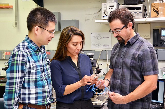 IBM công bố 5 sáng tạo có khả năng làm thay đổi cuộc sống 5 năm tới ảnh 4 IBM công bố 5 sáng tạo có khả năng làm thay đổi cuộc sống 5 năm tới ảnh 4