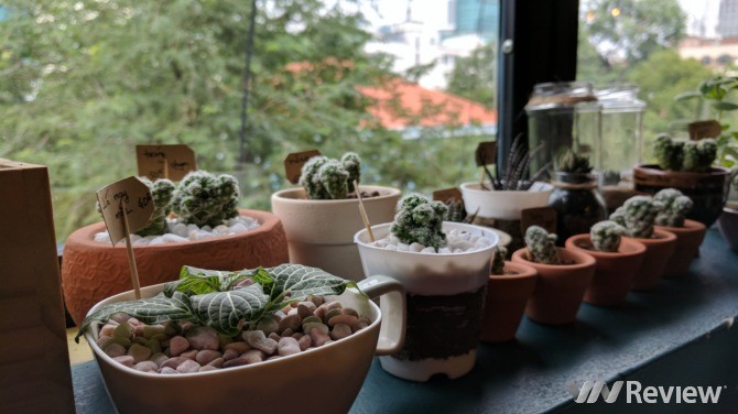 Trải nghiệm nhanh Google Pixel tại Việt Nam: Điểm nhấn HDR+ ảnh 20