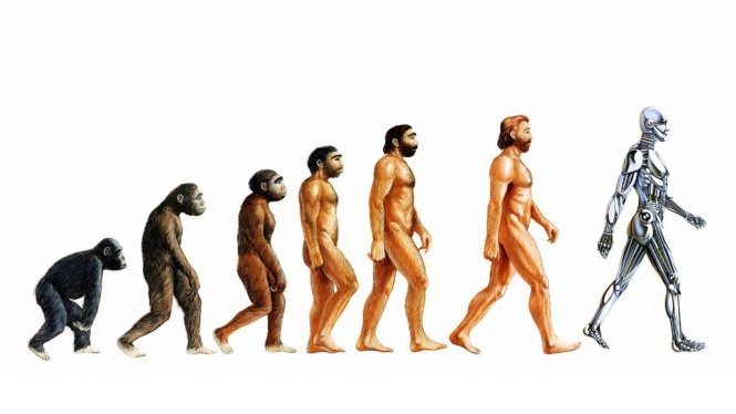 Minh họa Minh họa