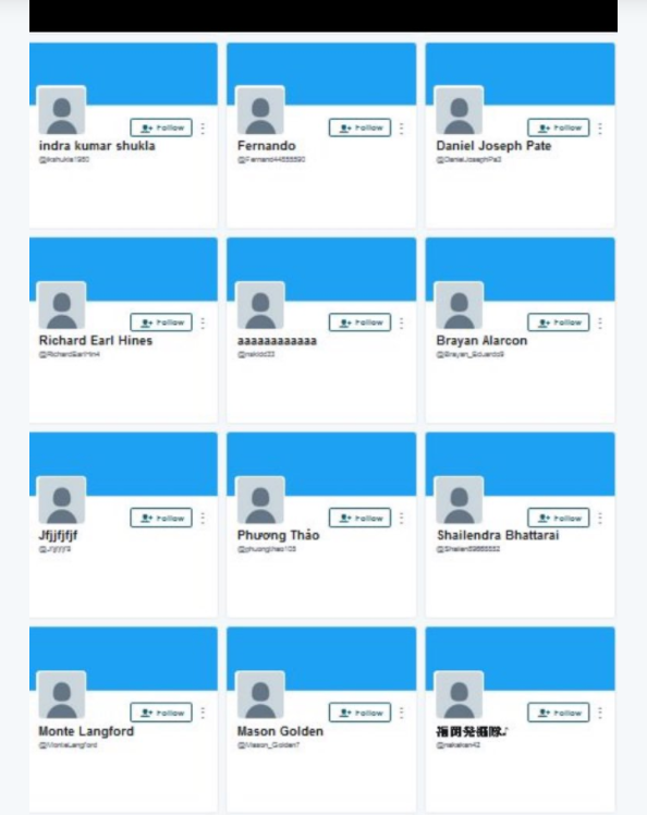 Ảnh chụp một loạt tài khoản theo dõi "ảo" trên Twitter của ông Trump Ảnh chụp một loạt tài khoản theo dõi "ảo" trên Twitter của ông Trump