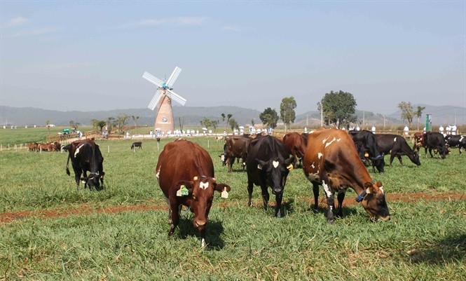 Nông nghiệp 4.0 đang thực hiện ở Việt Nam chưa hoàn chỉnh!