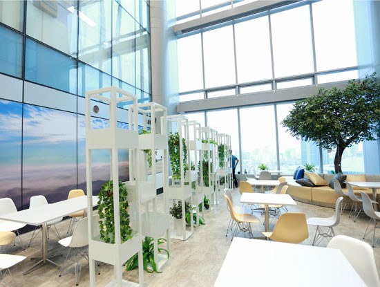 Chủ tịch Tek Experts: “Chúng tôi không đến Ấn Độ, Philippines mà đến Việt Nam để thu hút nhân lực CNTT” ảnh 3