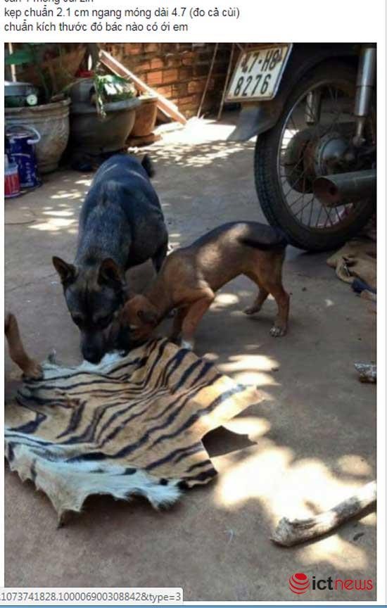 Facebook “thiên đường” buôn bán hàng giả, hàng nhái, hàng cấm ảnh 7