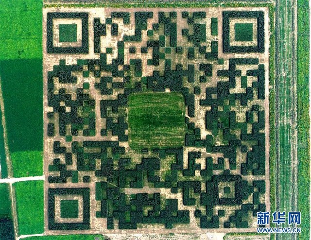 Ngôi làng Trung Quốc xây dựng hẳn công viên QR Code để thu hút khách du lịch ảnh 1 Ngôi làng Trung Quốc xây dựng hẳn công viên QR Code để thu hút khách du lịch ảnh 1