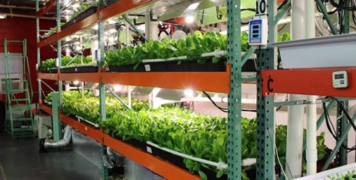 Trang trại trong nhà chạy bằng năng lượng Mặt Trời đầu tiên trên thế giới ảnh 2 Trang trại trong nhà chạy bằng năng lượng Mặt Trời đầu tiên trên thế giới - 3