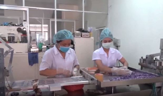 Bắt quả tang việc sản xuất thuốc chữa bệnh và thực phẩm chức năng giả Bắt quả tang việc sản xuất thuốc chữa bệnh và thực phẩm chức năng giả