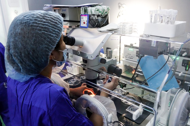 Chuyên viên phôi học thực hiện tìm trứng